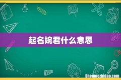 起名婉君什么意思