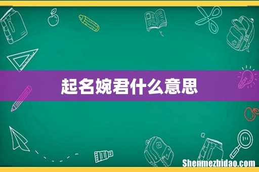 起名婉君什么意思