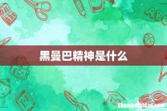 黑曼巴精神是什么