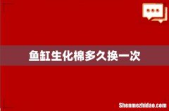 鱼缸生化棉多久换一次