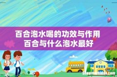 百合泡水喝的功效与作用 百合与什么泡水最好