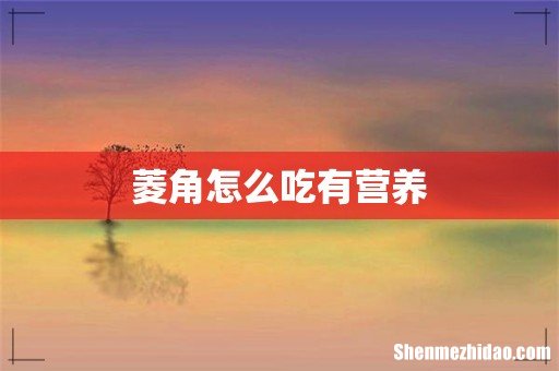 菱角怎么吃有营养