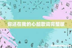你还在我的心脏歌词完整版