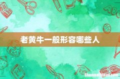 老黄牛一般形容哪些人