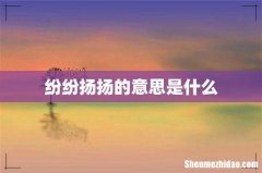 纷纷扬扬的意思是什么