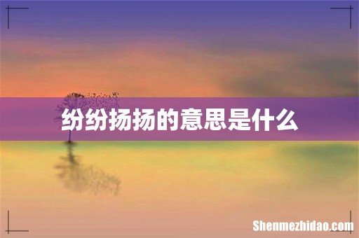 纷纷扬扬的意思是什么