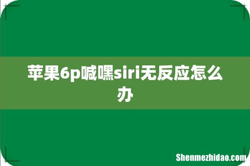 苹果6p喊嘿siri无反应怎么办