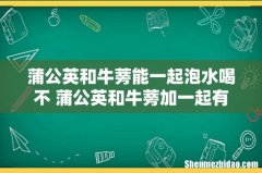 蒲公英和牛蒡能一起泡水喝不 蒲公英和牛蒡加一起有什么功效