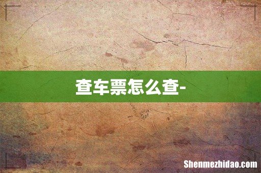 查车票怎么查-