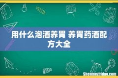 用什么泡酒养胃 养胃药酒配方大全