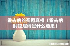 霍去病封狼居胥是什么意思 霍去病的死因真相