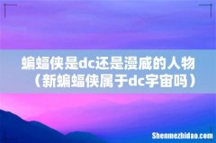 新蝙蝠侠属于dc宇宙吗 蝙蝠侠是dc还是漫威的人物