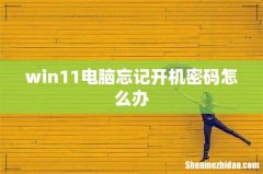 win11电脑忘记开机密码怎么办