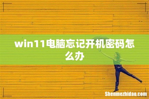 win11电脑忘记开机密码怎么办