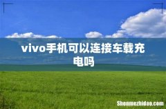 vivo手机可以连接车载充电吗