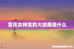 雪花女神龙的大结局是什么