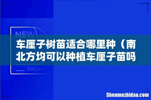 南北方均可以种植车厘子苗吗 车厘子树苗适合哪里种