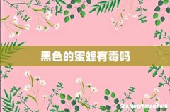 黑色的蜜蜂有毒吗