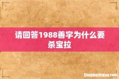 请回答1988善宇为什么要杀宝拉