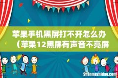 苹果手机黑屏打不开怎么办（苹果12黑屏有声音不亮屏怎么回事)