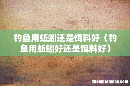 钓鱼用蚯蚓好还是饵料好 钓鱼用蚯蚓还是饵料好