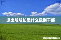 派出所所长是什么级别干部