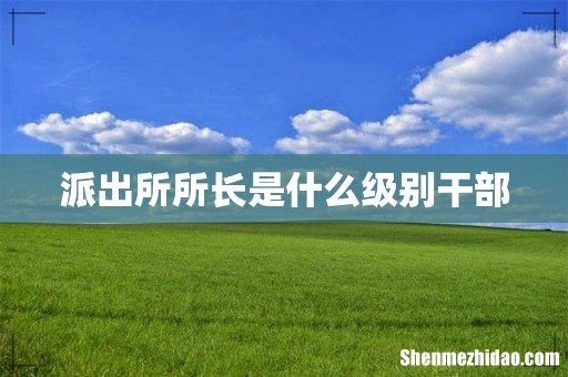 派出所所长是什么级别干部
