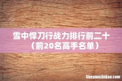 前20名高手名单 雪中悍刀行战力排行前二十