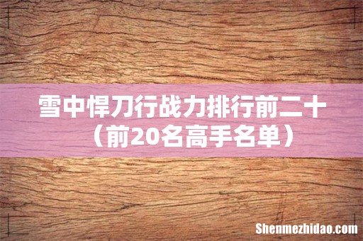 前20名高手名单 雪中悍刀行战力排行前二十
