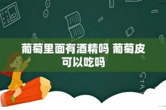 葡萄里面有酒精吗 葡萄皮可以吃吗
