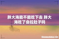 胖大海能不能吃下去 胖大海吃了会拉肚子吗