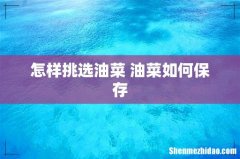 怎样挑选油菜 油菜如何保存