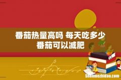 番茄热量高吗 每天吃多少番茄可以减肥