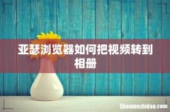 亚瑟浏览器如何把视频转到相册