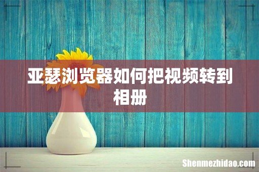 亚瑟浏览器如何把视频转到相册