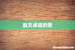赵文卓唱的歌