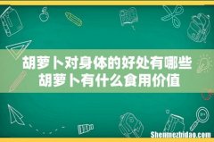 胡萝卜对身体的好处有哪些 胡萝卜有什么食用价值