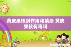 黄皮果核副作用和禁忌 黄皮果核有毒吗