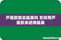 芦荟胶能去狐臭吗 怎样用芦荟胶来遮掩狐臭
