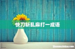 快刀斩乱麻打一成语