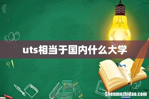 uts相当于国内什么大学