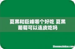 夏黑和巨峰哪个好吃 夏黑葡萄可以连皮吃吗