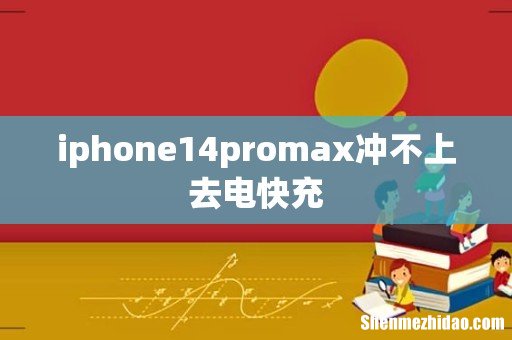 iphone14promax冲不上去电快充