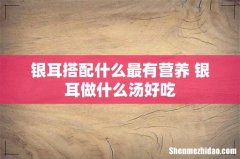 银耳搭配什么最有营养 银耳做什么汤好吃