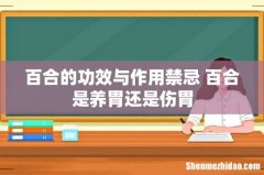 百合的功效与作用禁忌 百合是养胃还是伤胃