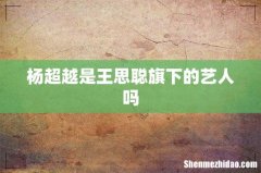 杨超越是王思聪旗下的艺人吗
