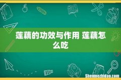 莲藕的功效与作用 莲藕怎么吃