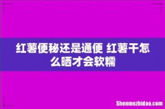 红薯便秘还是通便 红薯干怎么晒才会软糯