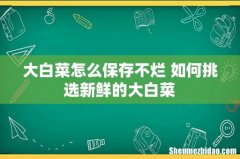 大白菜怎么保存不烂 如何挑选新鲜的大白菜