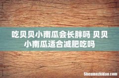 吃贝贝小南瓜会长胖吗 贝贝小南瓜适合减肥吃吗